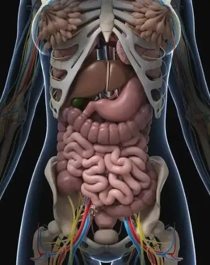 腹部常见疾病ct诊断彩色图谱,建议收藏