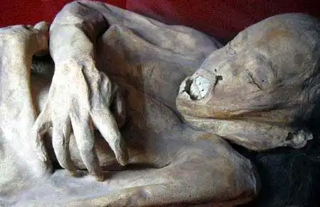 全国各地发现的干尸集锦