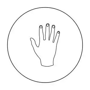 五个手指手势图片-五个手指手势素材-五个手指手势插画-摄图新视界