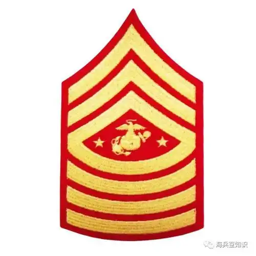 等级分明美国海军陆战队各级士兵军衔代表着什么