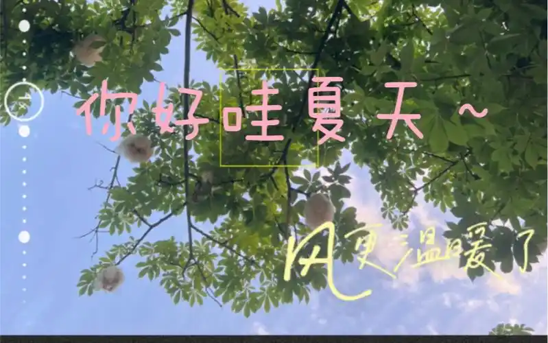 春天再见夏天你好哇!祝你我都能拥有一个很棒的夏天哈