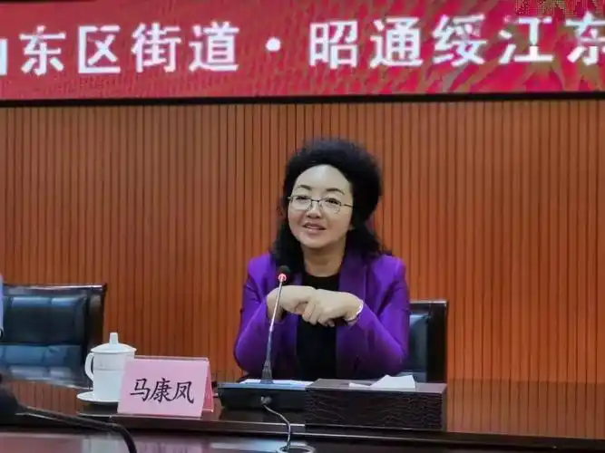 东西协作暖人心交流互访促共进马康凤带团到广东中山对接东西部扶贫