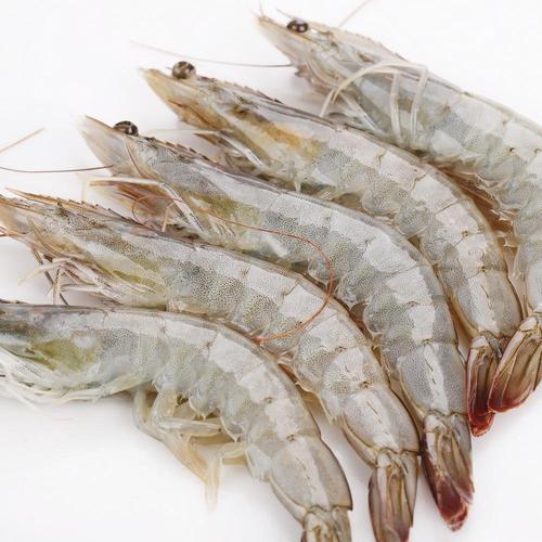 上海冷冻对虾批发冻南美白对虾价格厄瓜多尔白对虾货源厂家