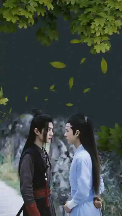 陈情令忘羡抱 - 堆糖,美图壁纸兴趣社区