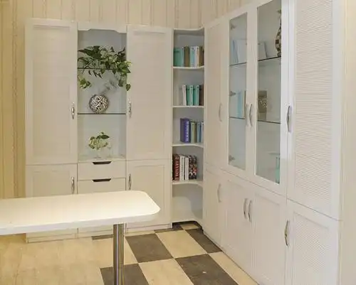 致胜衣柜图片 时尚大气实用定制书柜效果图