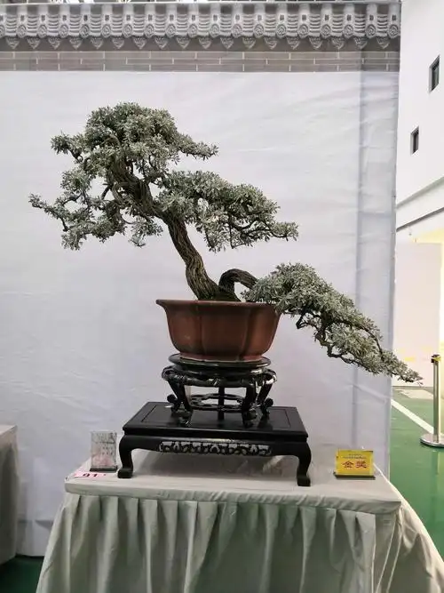 〈金天国际杯〉中国宿迁盆景书画名家作品展