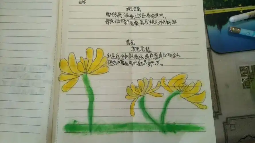 诗歌伴我战"疫情"—梨园学校四年级(5)班原创诗集