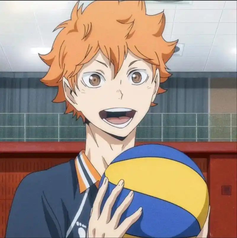 二次元 #纸片人 #日漫#排球少年#日向翔阳 我的hina - 抖音