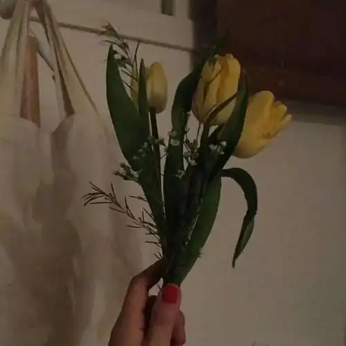 安奈ins风治愈系背景图 等到苦_风景静物头像_我要个性网