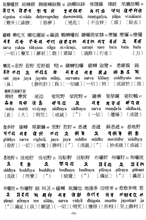 27普遍光明炽盛如意宝印心无能胜大明王大随求陀罗尼梵汉对照1