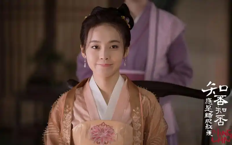 《知否知否应是绿肥红瘦》张佳宁剧照图片壁纸高清大图预览1920x1200