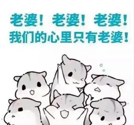 适合一生一世我爱你老婆句子