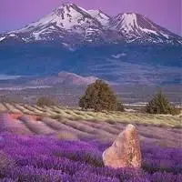 美丽的照片头像大自然风景图片_微信头像图片大全