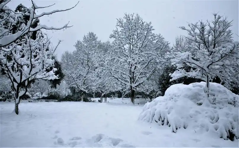 其它 忆西湖的雪景 以下是2008年2月2日星期六上午大雪纷飞中的杭州