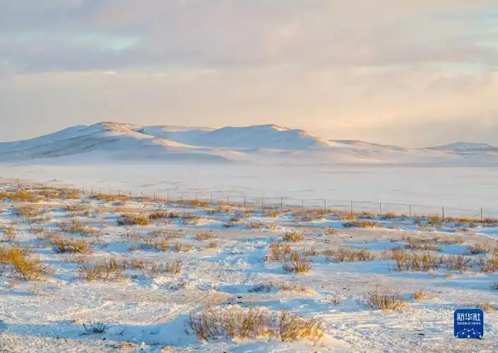 一场降雪过后,位于内蒙古锡林郭勒盟西乌珠穆沁旗的乌珠穆沁草原