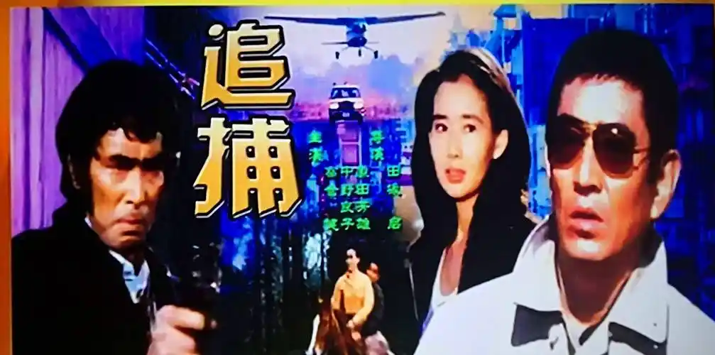 46年前日本经典电影《追捕》中13位演员大盘点_杜秋之_制药_杜丘