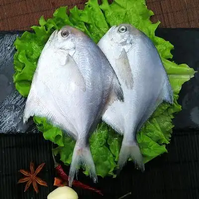 【顺丰包邮】海捕野生银鲳鱼3斤