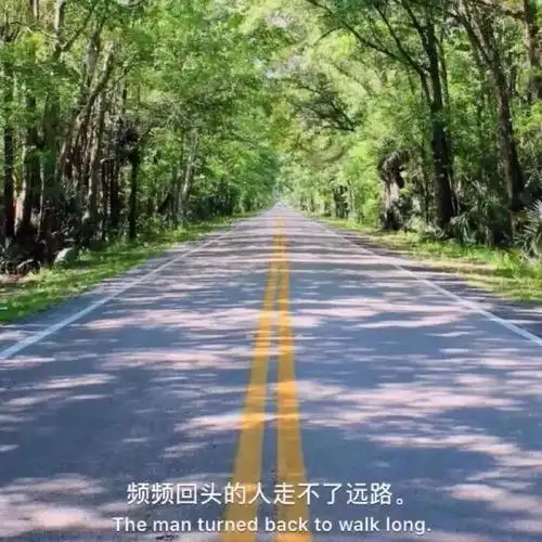 好看的微信朋友圈封面壁纸
