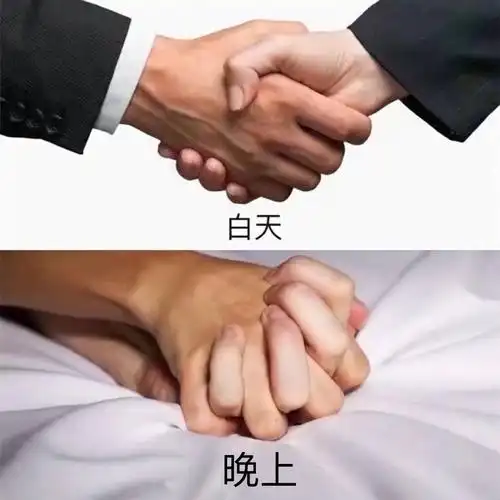 磕cp爱用表情包分享