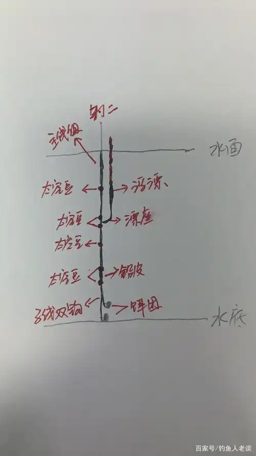 图解台钓高手教你如何在黑坑野钓环境中调漂-调四钓二