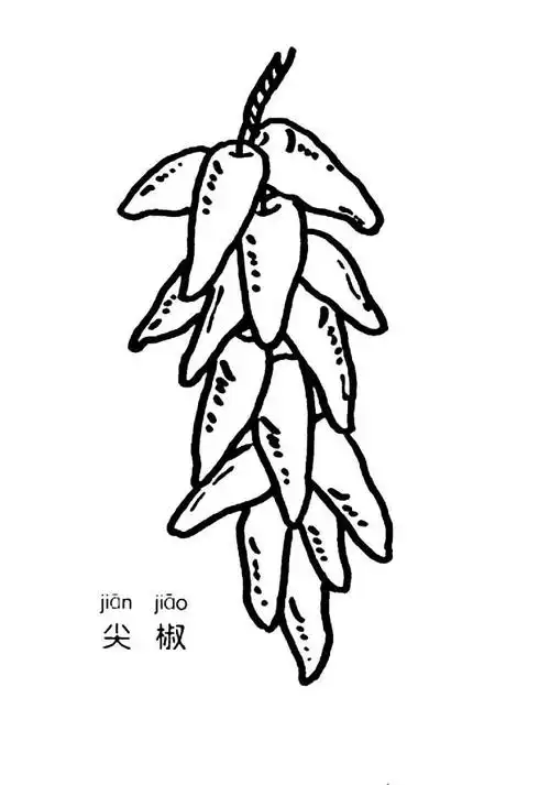 一串尖椒蔬菜简笔画步骤图片大全