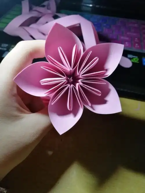 儿童手工折纸花简单一百种