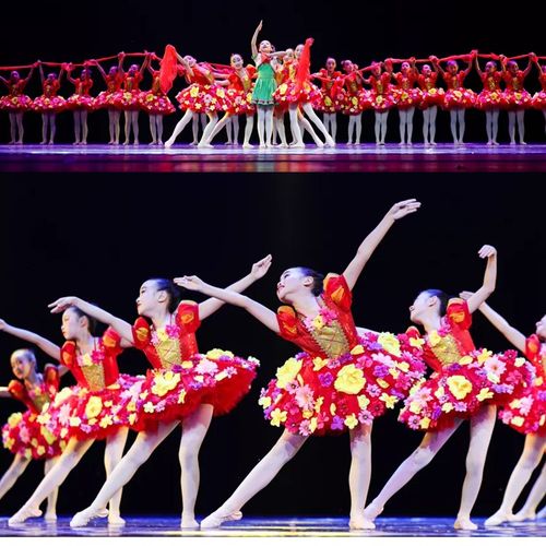 花儿那样红儿童舞蹈演出服女孩蓬蓬裙表演第十届小荷风采歌唱祖国