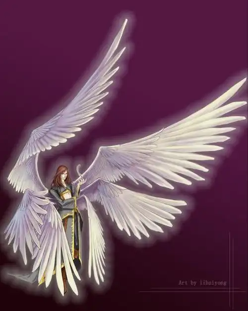 六翼天使图一张 帅一点的 最好看不到脸