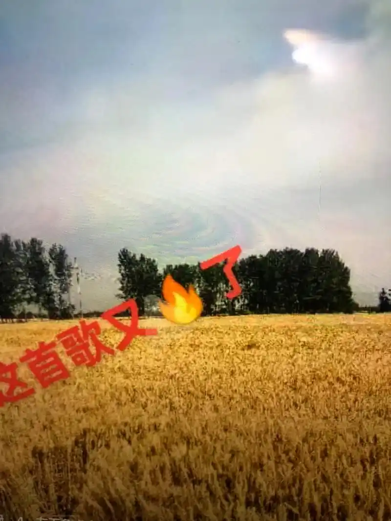 麦浪滚滚闪金光 #又是一年收麦季 #这就是农村的生活 #一 - 抖音