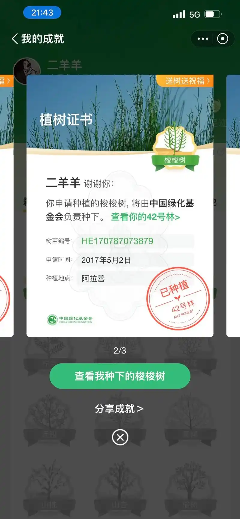 蚂蚁森林.原来你在手机上种的树,都有编号的.每一棵都能在现实 - 抖音