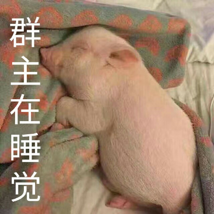 群主在睡觉_群主_睡觉表情