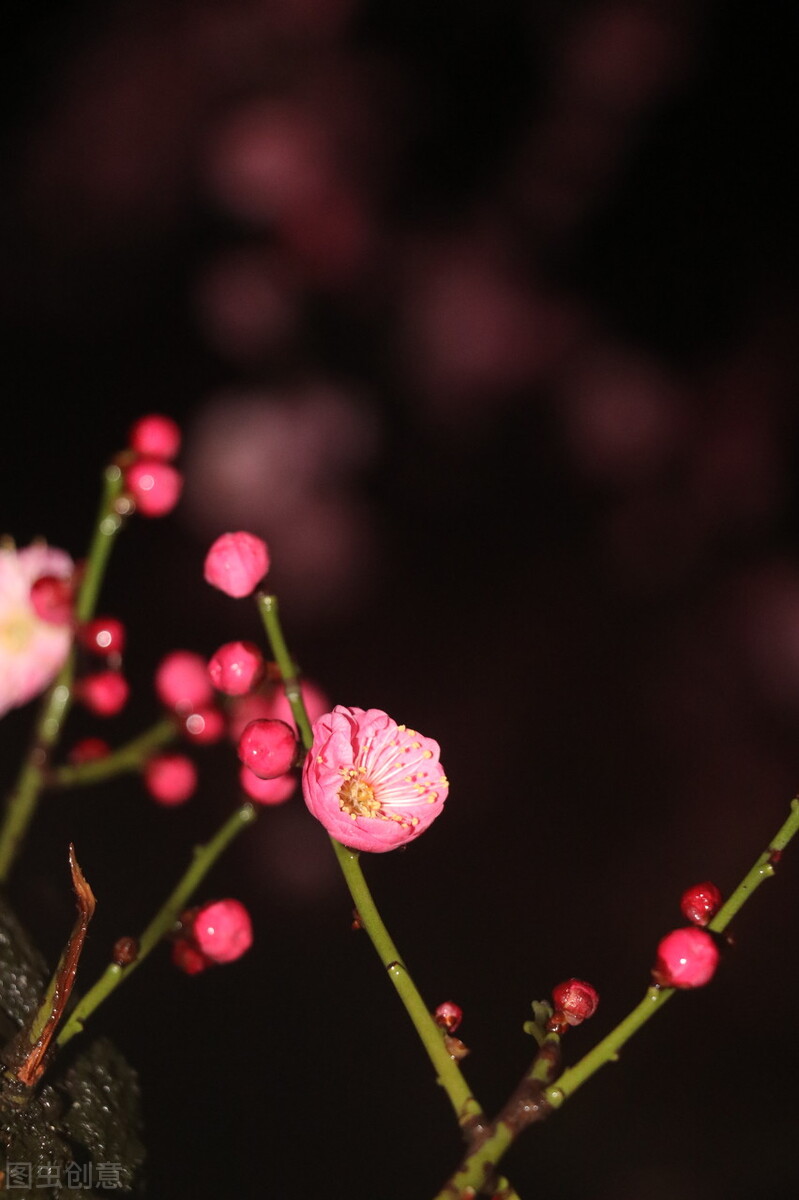 唯美意境风景带句子壁纸